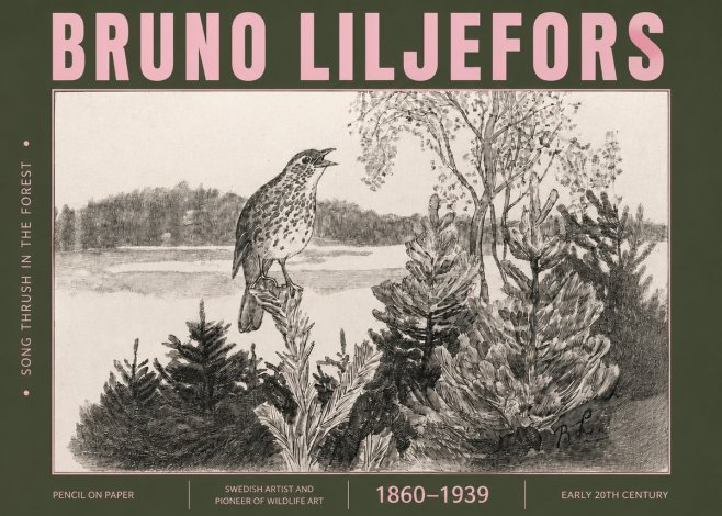 Bruno Liljefors Song Thrush in the Forest No4 - Poster