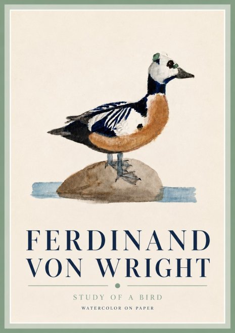 Ferdinand von Wright Study of a Bird No3 - Poster