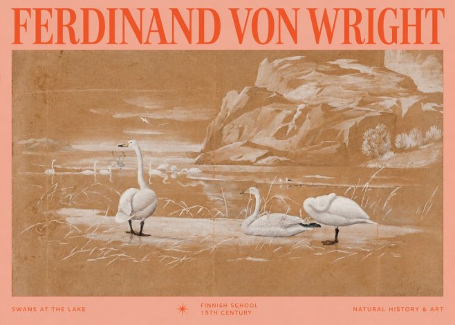Ferdinand von Wright Swans at the Lake No2 - Poster