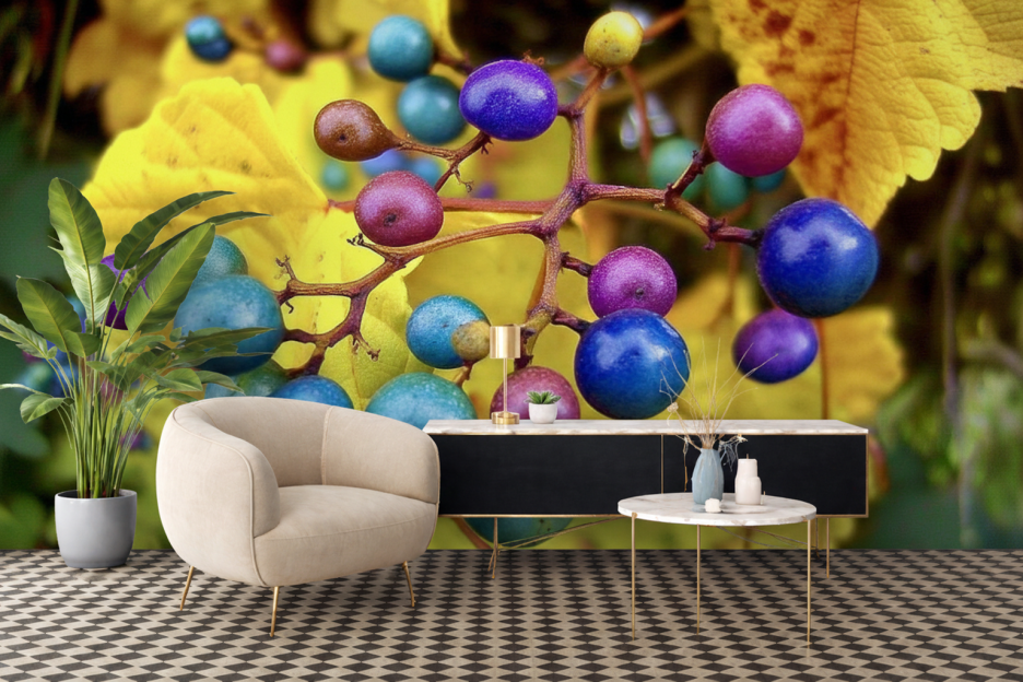 Vibrant Harvest Cluster