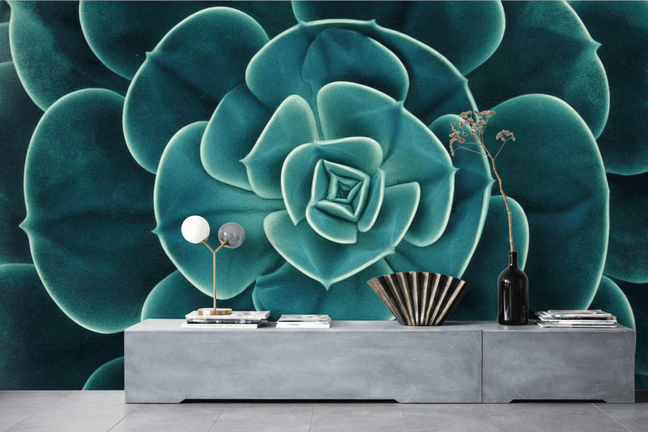 Succulent Echo
