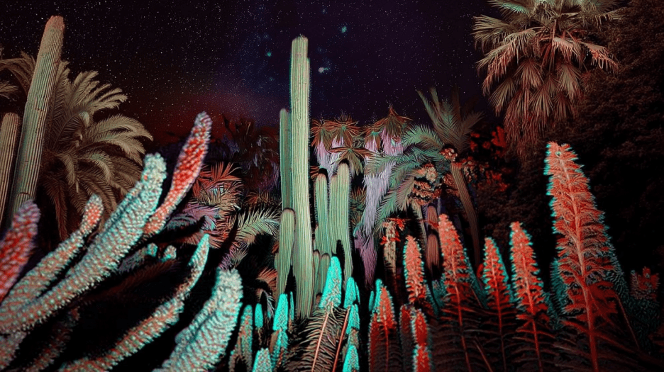 Celestial Cacti
