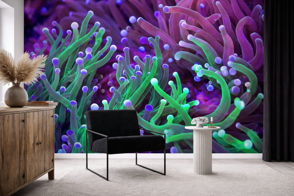 Anemone Symphony