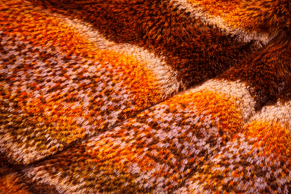 Vibrant Mosaic