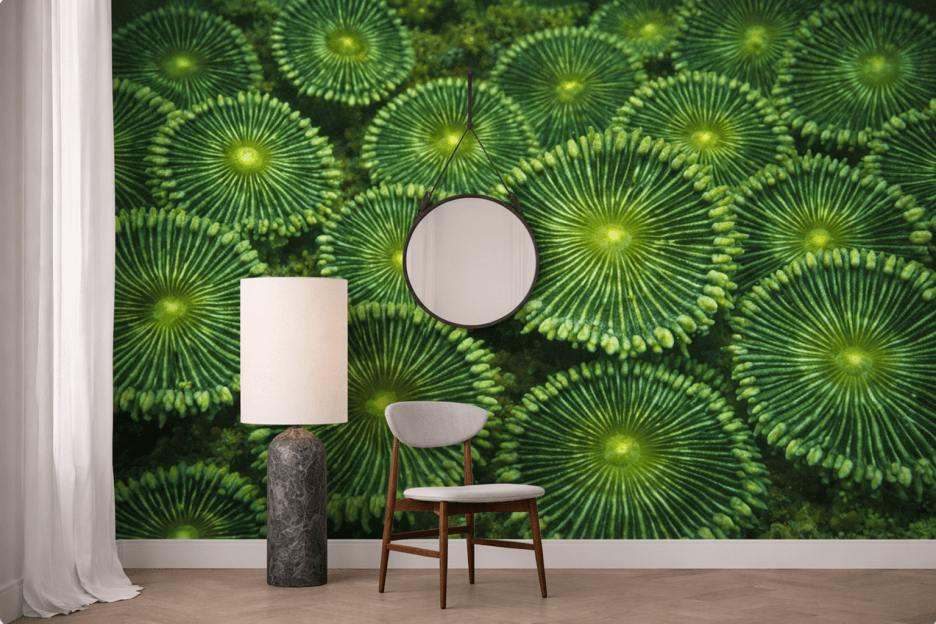 Foliage Mirage