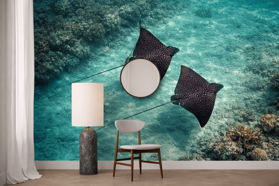 Stingray Flow
