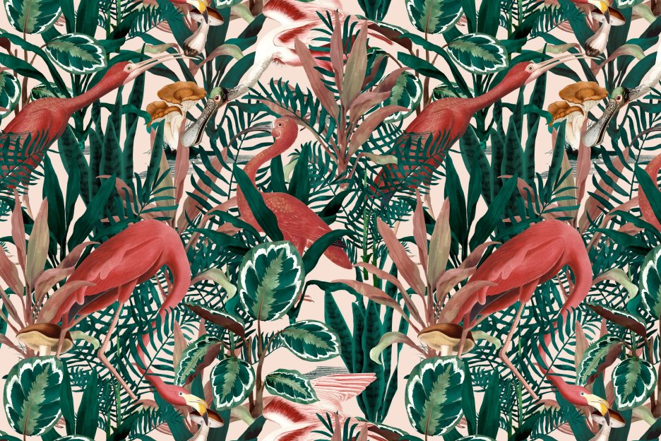 Flamingo Fern Ascent