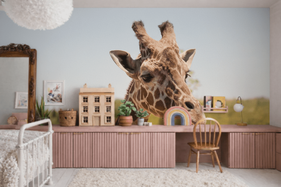 Savannah Giraffe Gaze