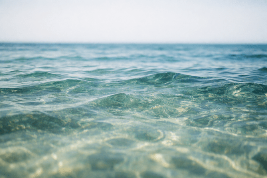 Wavescape Veil