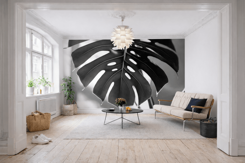 Monstera Shadow