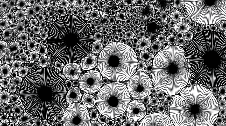 Radiant Blossom Field