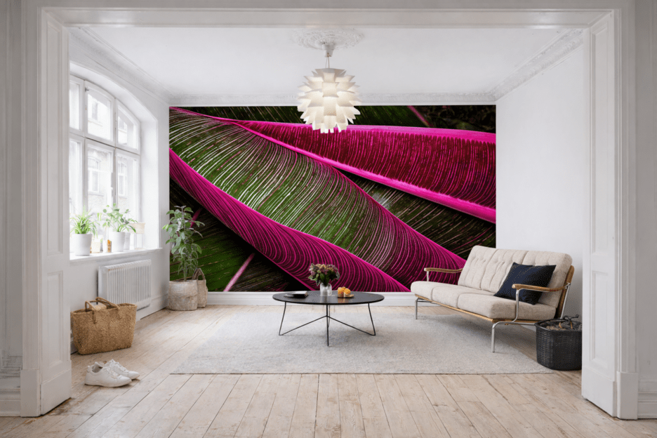 Radiant Foliage
