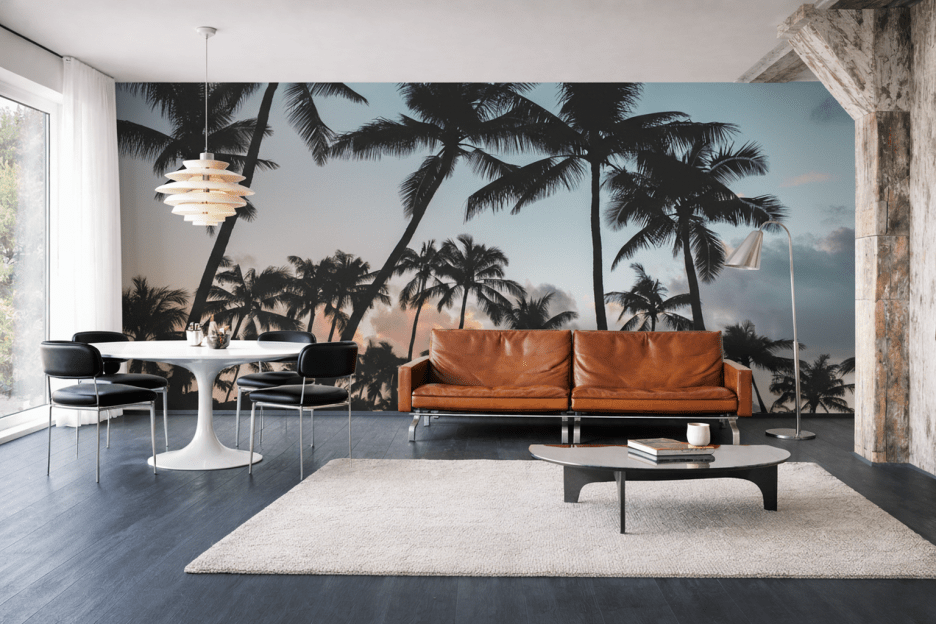 Palm Halo
