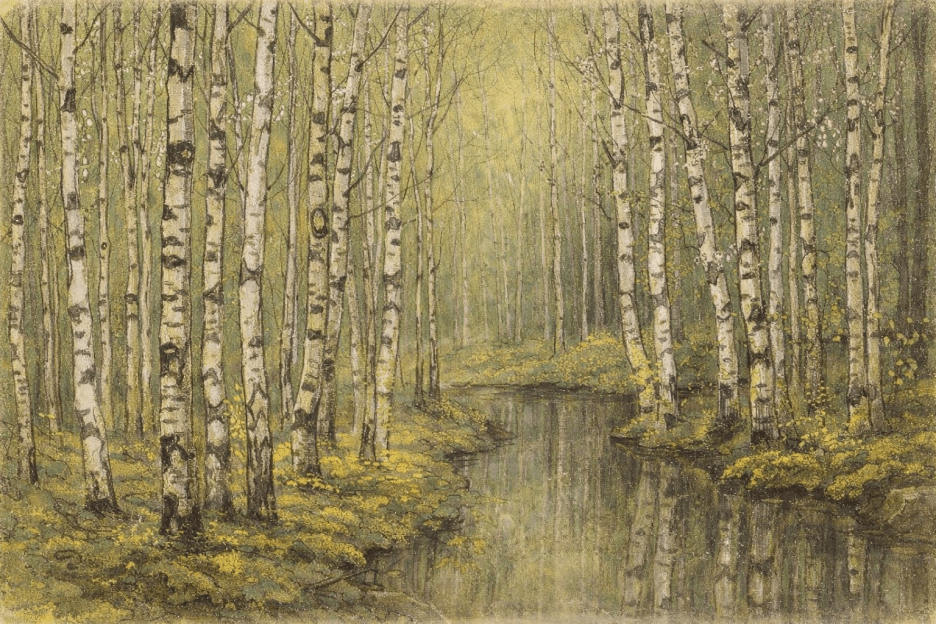 Silken Birch Haven