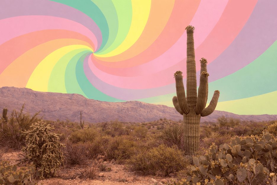 Saguaro Mirage