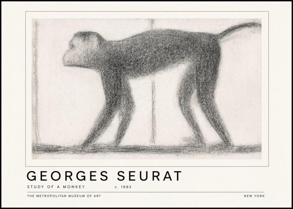 Seurat Study of a Monkey No6 - Poster