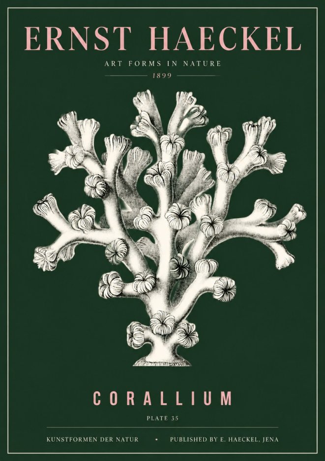 Ernst Haeckel Corallium Rubrum II No5 - Poster