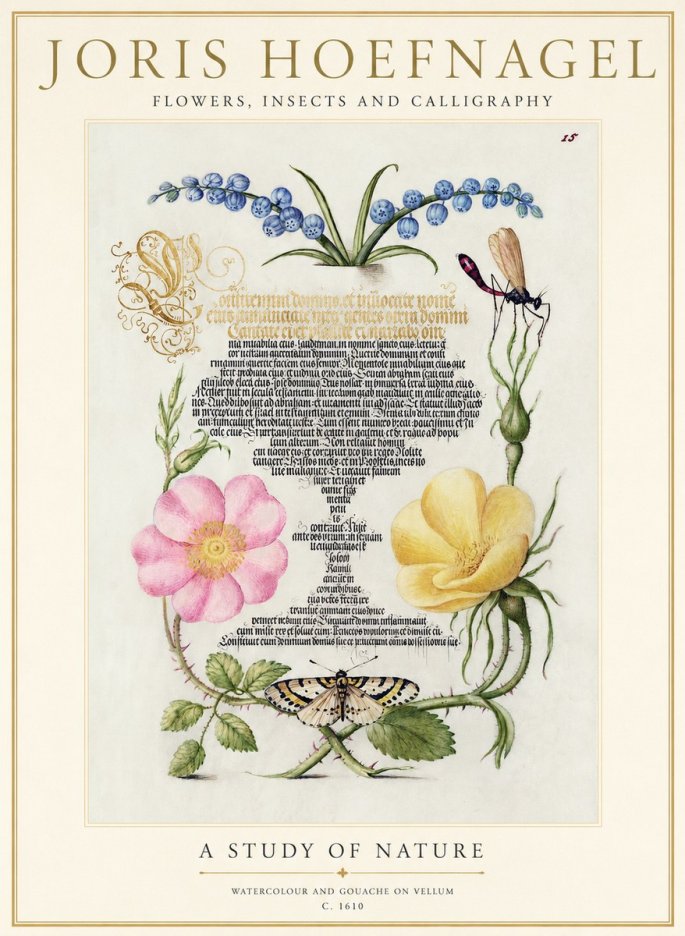 Joris Hoefnagel A Study of Nature I No1 - Poster