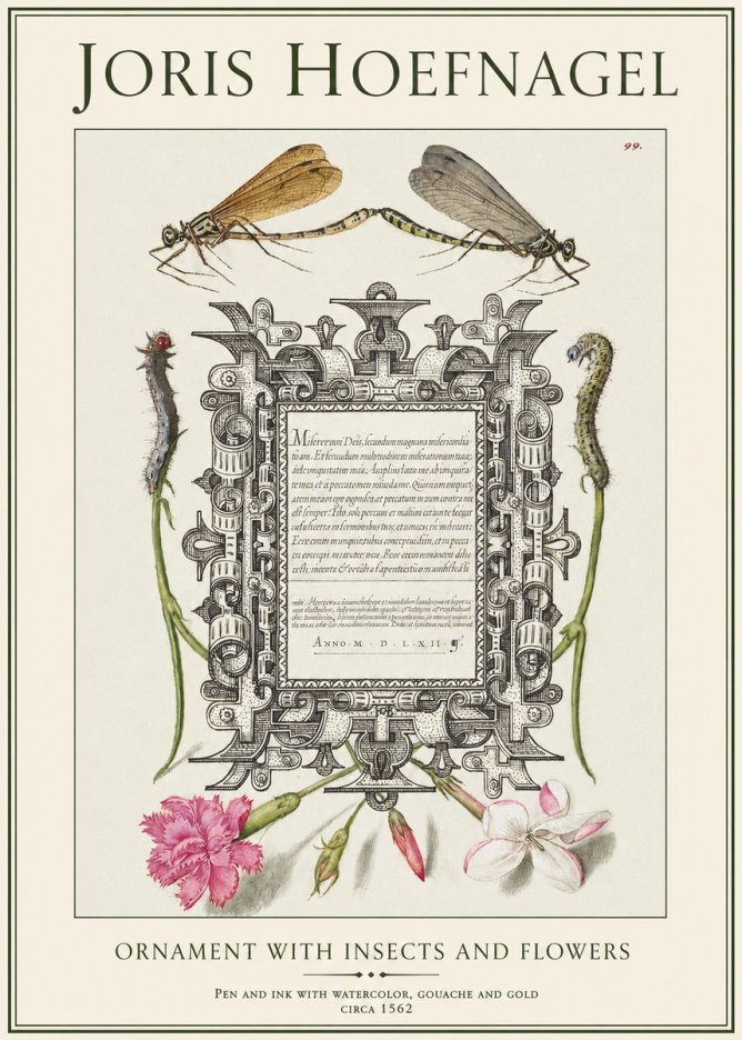 Joris Hoefnagel Ornamental Frame with Damselflies, Caterpillars and Flowers No2 - Poster