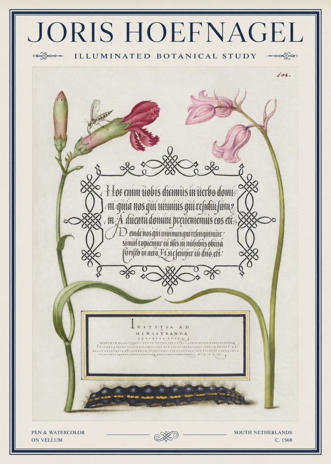 Joris Hoefnagel Floral Study with Insect and Caterpillar No5 - Poster