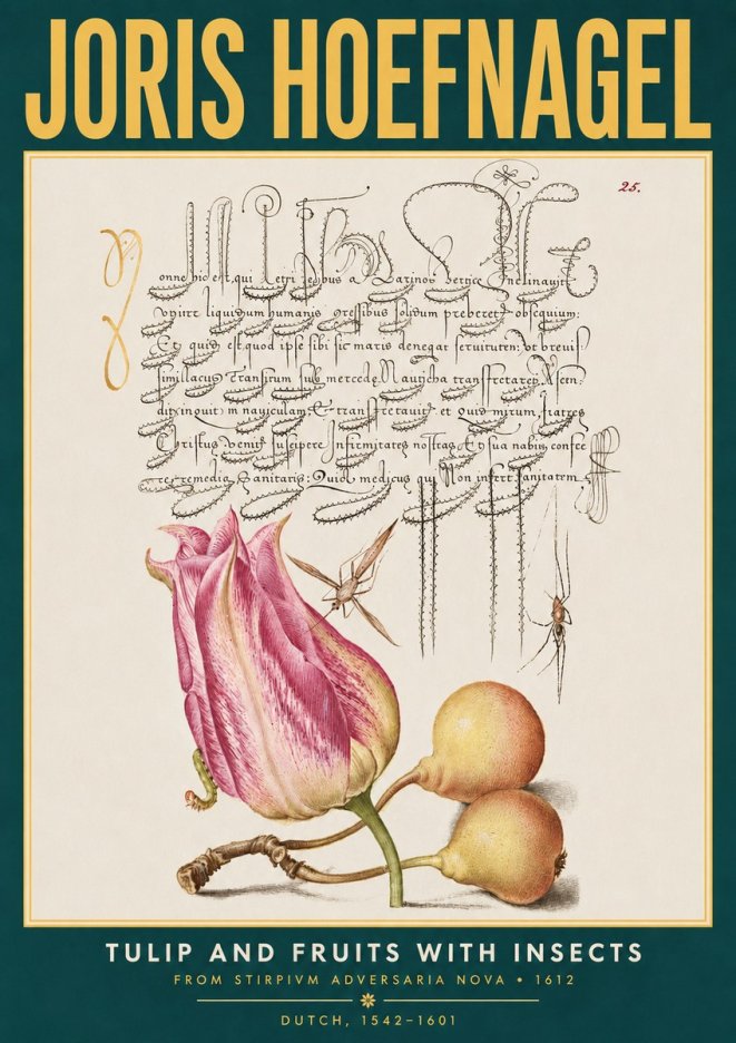Joris Hoefnagel Tulip and Fruits with Insects No3 - Poster