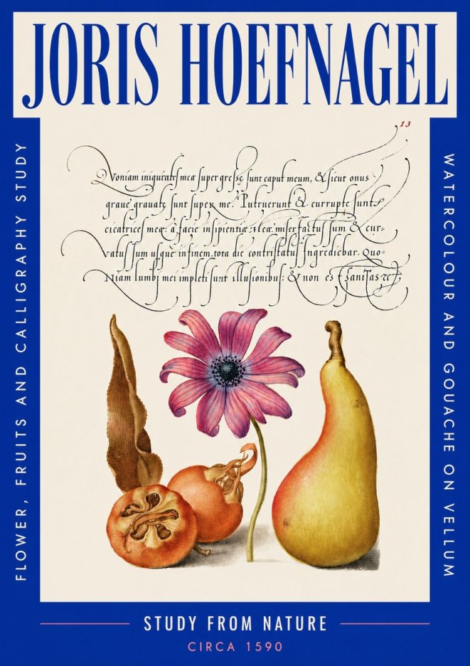 Joris Hoefnagel Study of Flower and Fruits No5 - Poster