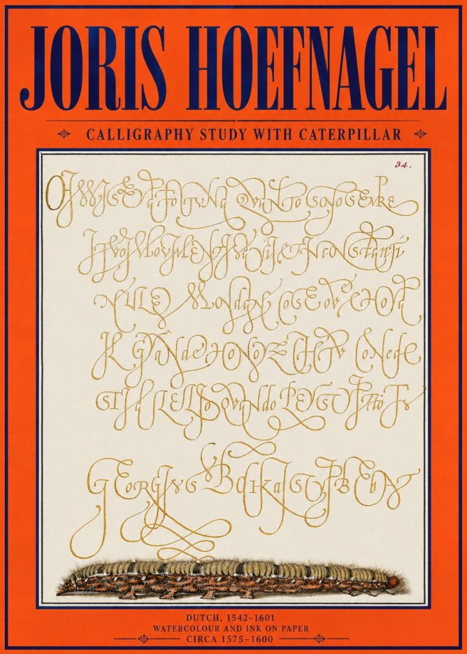 Joris Hoefnagel Calligraphy Study with Caterpillar No4 - Poster