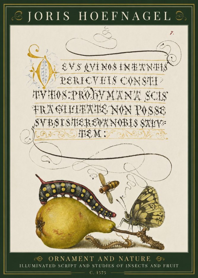 Joris Hoefnagel Ornament and Nature - Illuminated Script and Studies of Insects and Fruit No1 - Poster