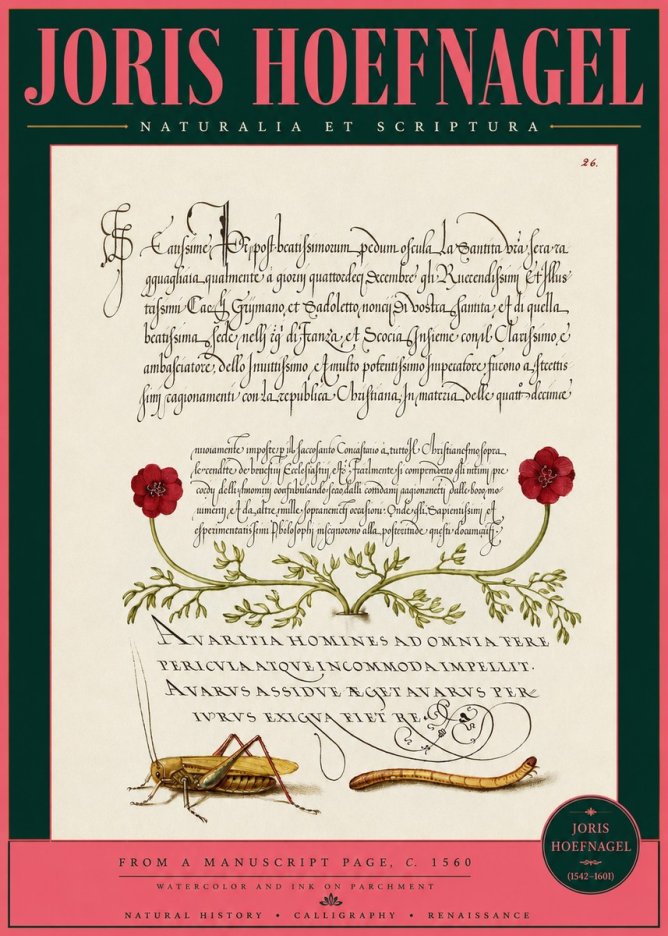 Joris Hoefnagel Illuminated Page with Flowers, Insects & Latin Script No3 - Poster