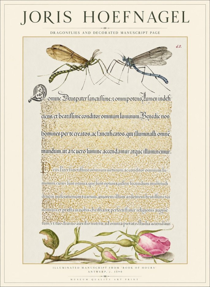Joris Hoefnagel Dragonflies and Decorated Manuscript Page No1 - Poster
