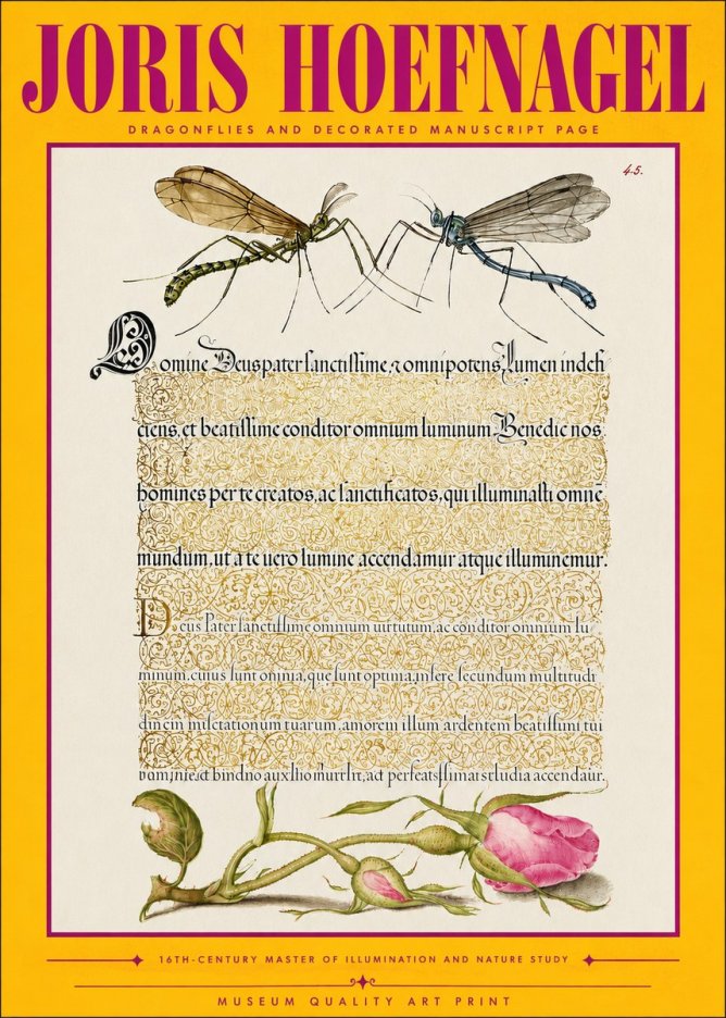 Joris Hoefnagel Dragonflies and Decorated Manuscript Page No4 - Poster