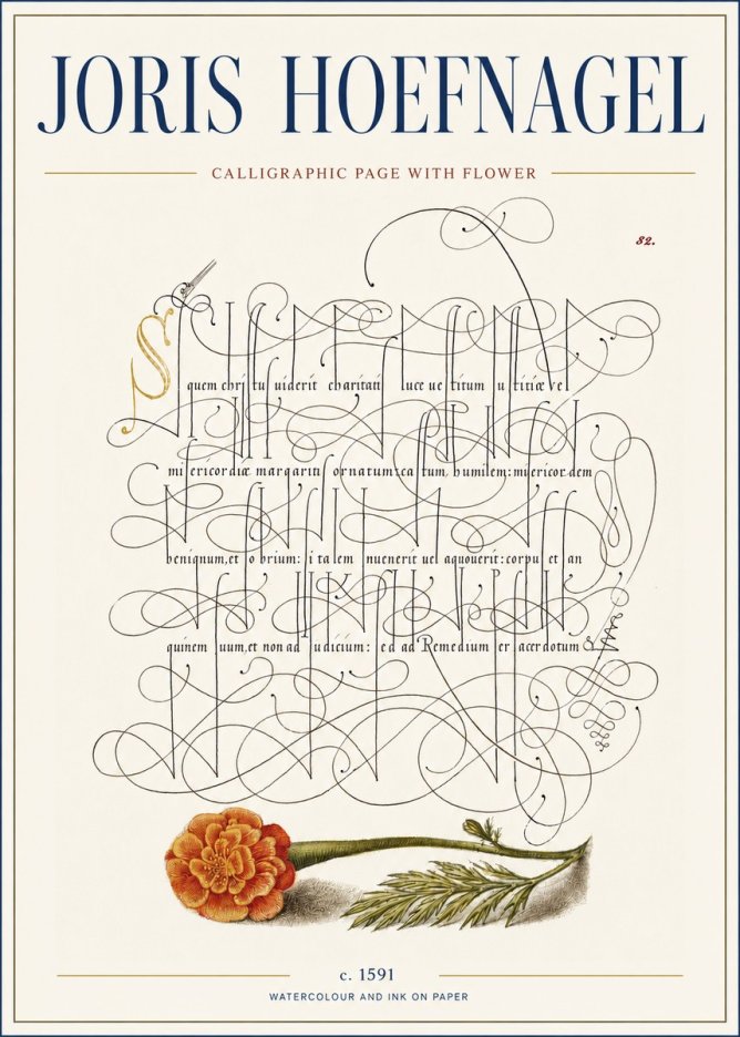 Joris Hoefnagel Calligraphic Study with Marigold No4 - Poster