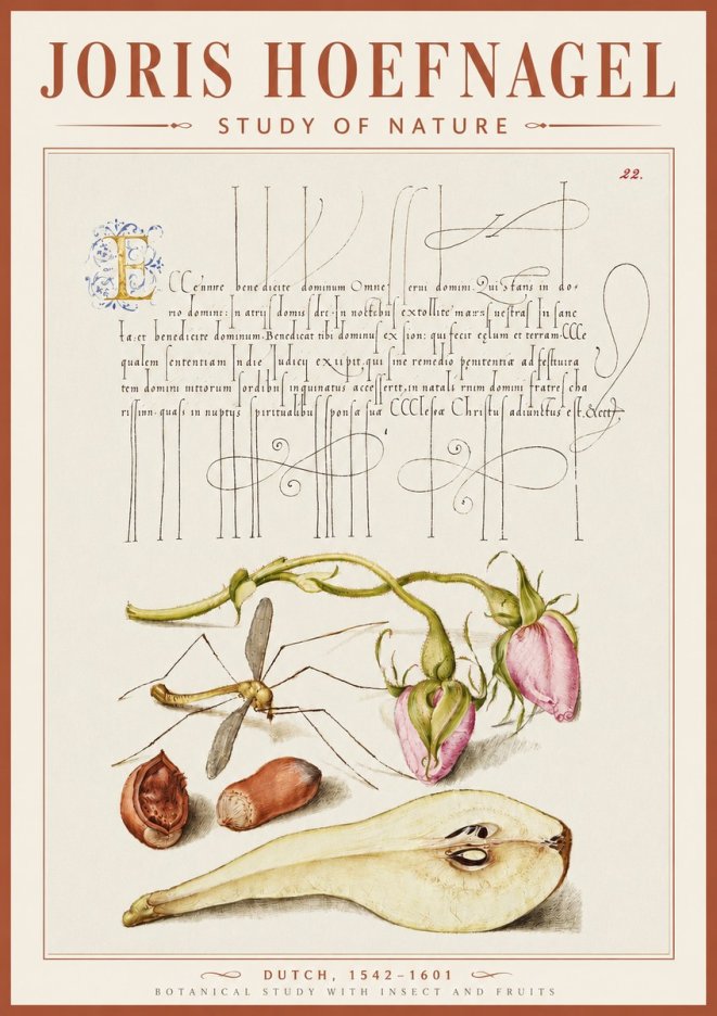 Joris Hoefnagel Studies of Plants, Insects and Fruits No5 - Poster