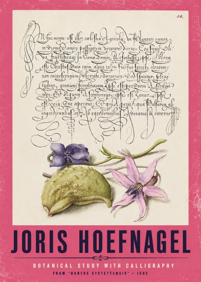 Joris Hoefnagel Botanical Study with Calligraphy I No2 - Poster