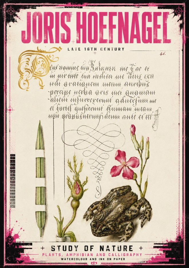 Joris Hoefnagel Study of Nature I No4 - Poster