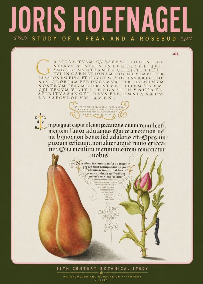 Joris Hoefnagel Aphorisms with Pear and Rose No4 - Poster