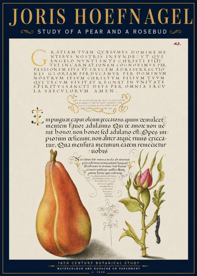 Joris Hoefnagel Aphorisms with Pear and Rose No6 - Poster