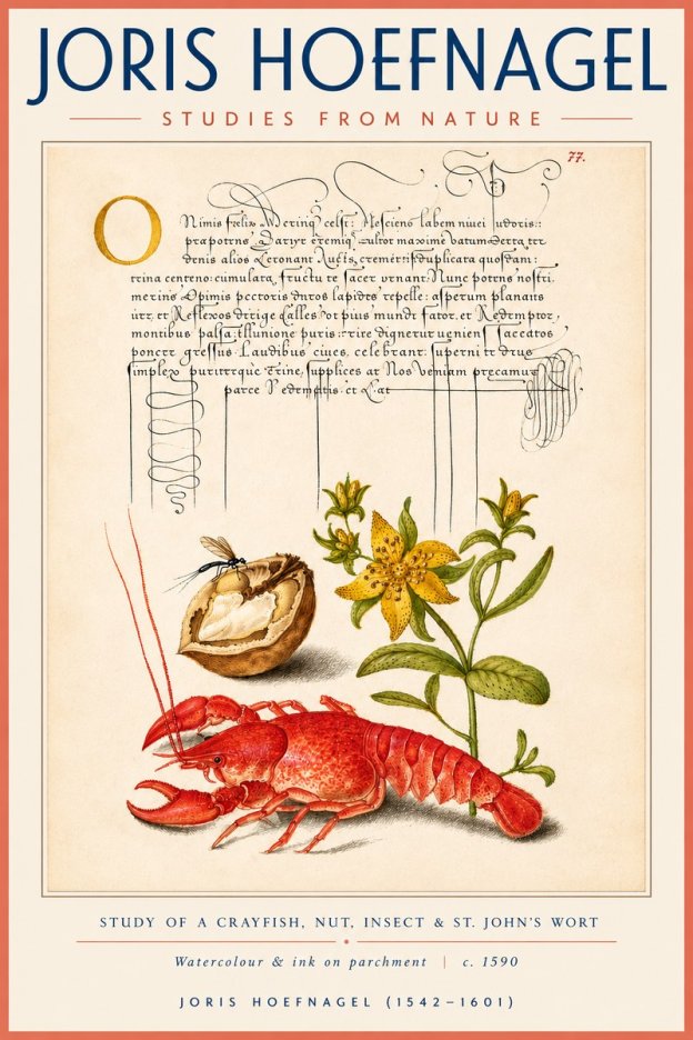 Joris Hoefnagel Studies from Nature No4 - Poster