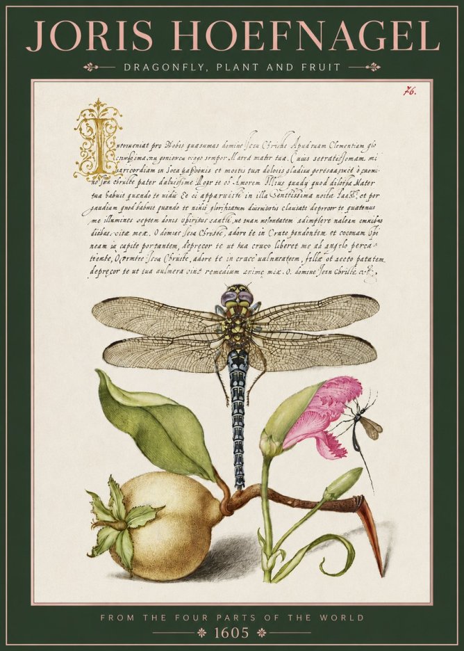 Joris Hoefnagel Dragonfly, Plant and Fruit No3 - Poster