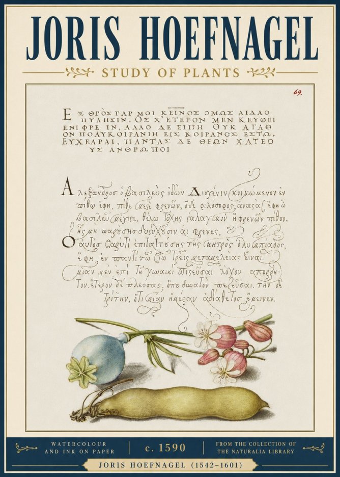 Joris Hoefnagel Study of Plants I No4 - Poster