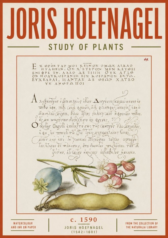 Joris Hoefnagel Study of Plants I No5 - Poster
