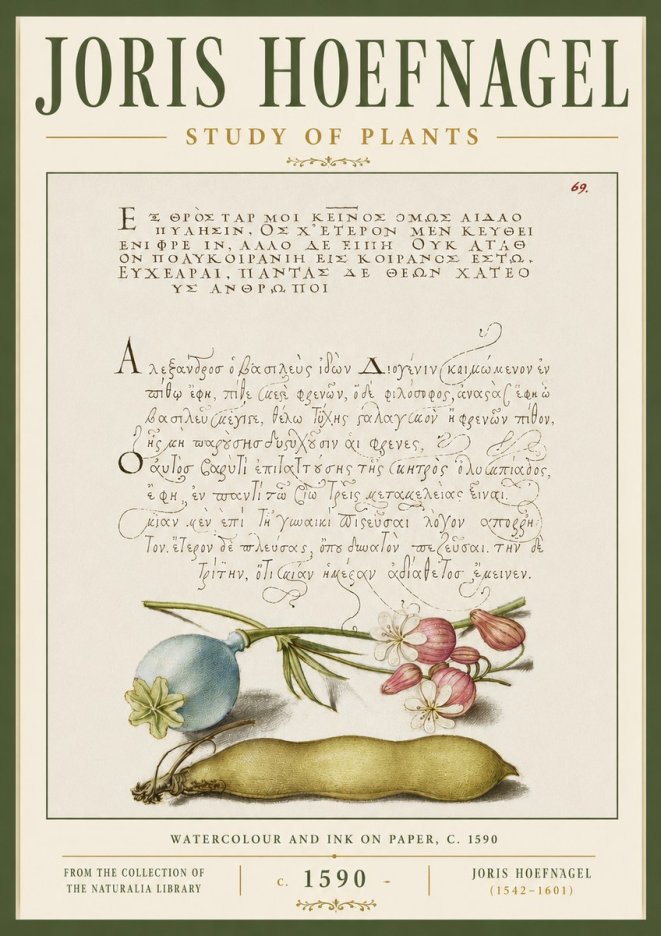 Joris Hoefnagel Study of Plants I No6 - Poster