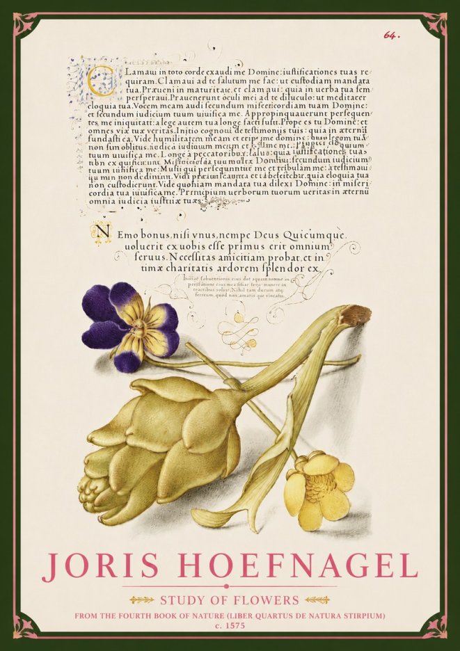 Joris Hoefnagel Botanical Study with Calligraphy III No6 - Poster