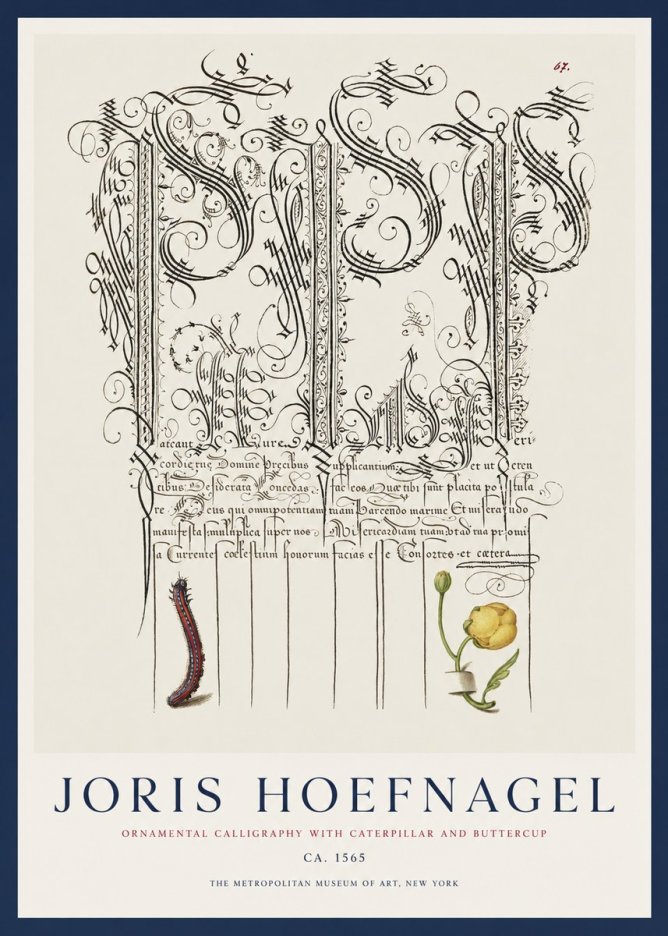 Joris Hoefnagel Ornamental Calligraphy with Caterpillar and Buttercup No1 - Poster