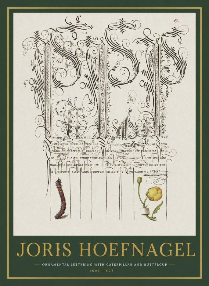 Joris Hoefnagel Ornamental Calligraphy with Caterpillar and Buttercup No2 - Poster
