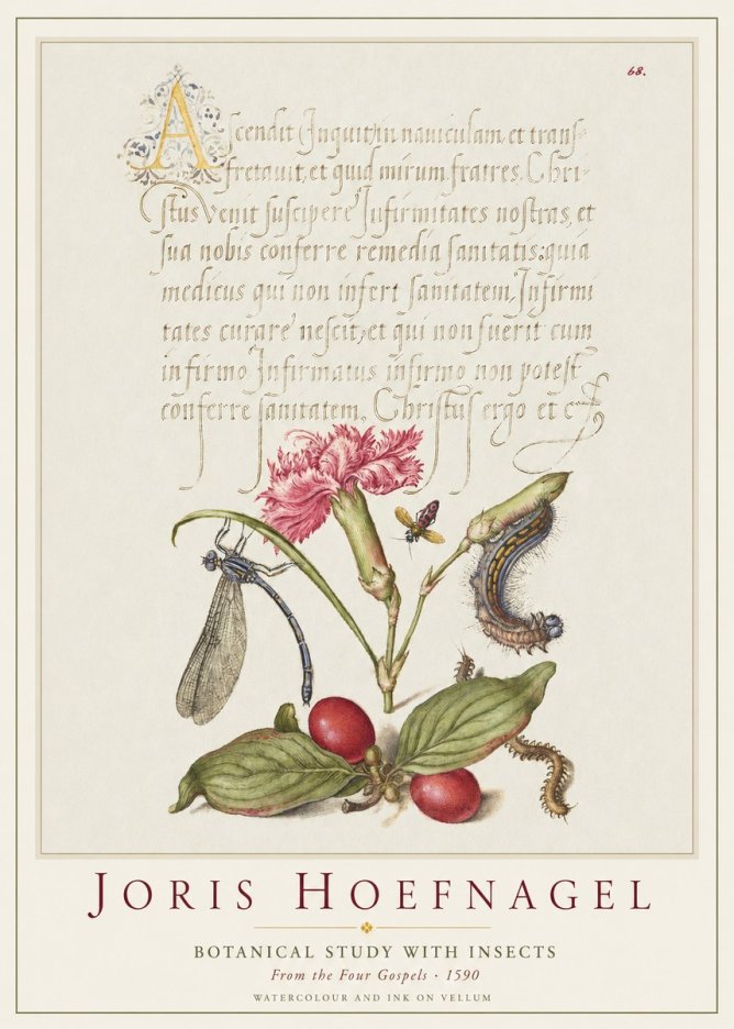 Joris Hoefnagel Botanical Study with Insects No1 - Poster