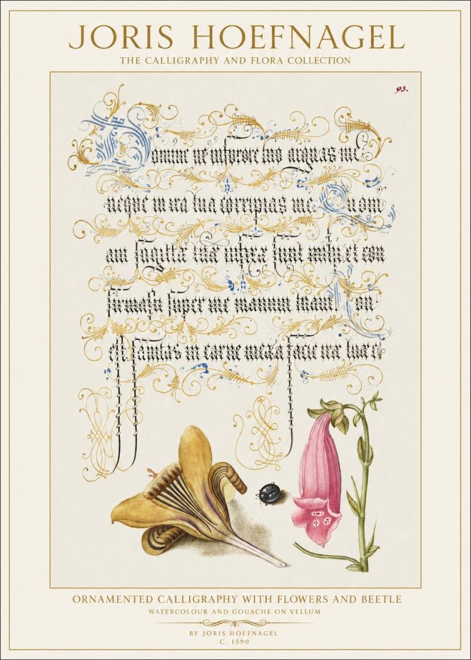 Joris Hoefnagel Ornamented Calligraphy with Flowers and Beetle No1 - Poster