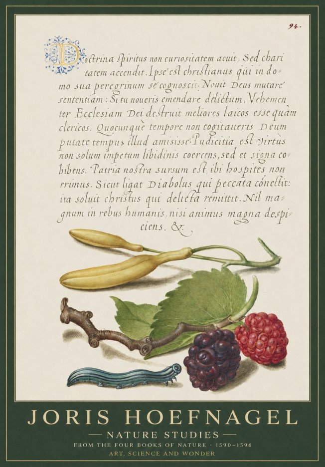 Joris Hoefnagel Nature Studies No1 - Poster