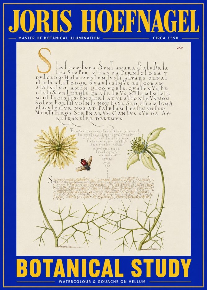 Joris Hoefnagel Botanical Study with Insect No4 - Poster