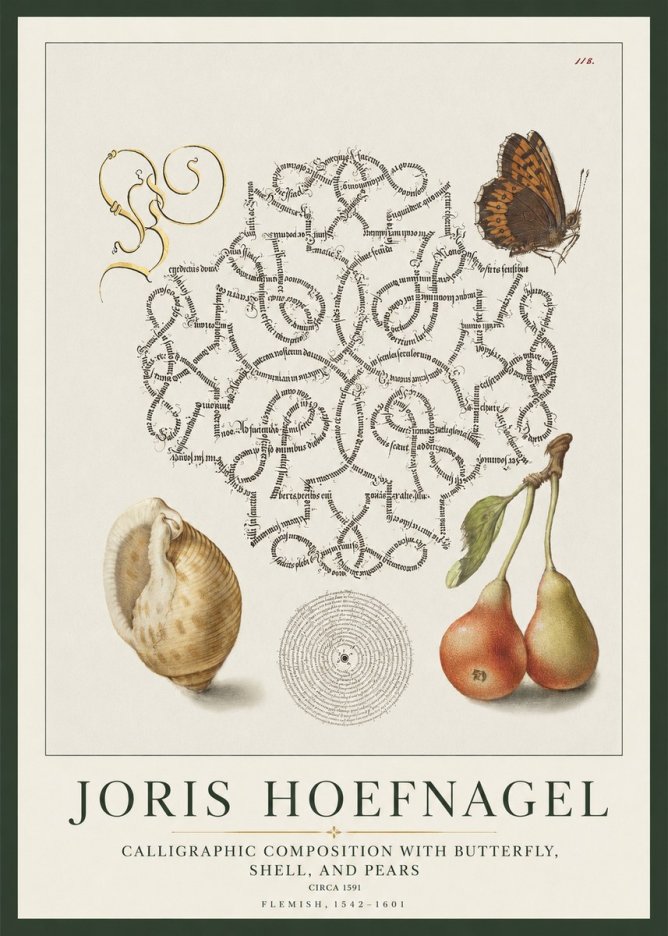 Joris Hoefnagel Calligraphic Composition with Butterfly, Shell, and Pears No1 - Poster